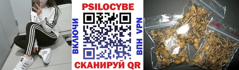 Купить  Дудинка  Псилоцибиновые грибы Cubensis 