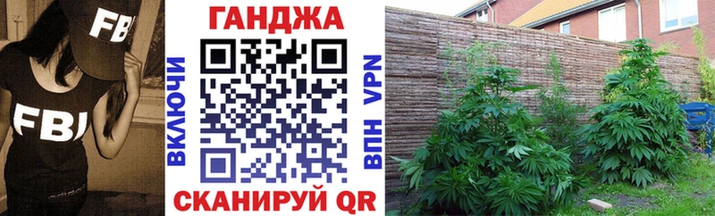 Купить  Дудинка  Бошки Шишки ГИДРОПОН 